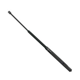 21" Expandable Spring Baton (Option: Title)